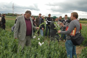 43    