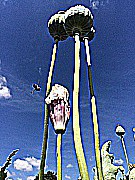 IMG_6853   